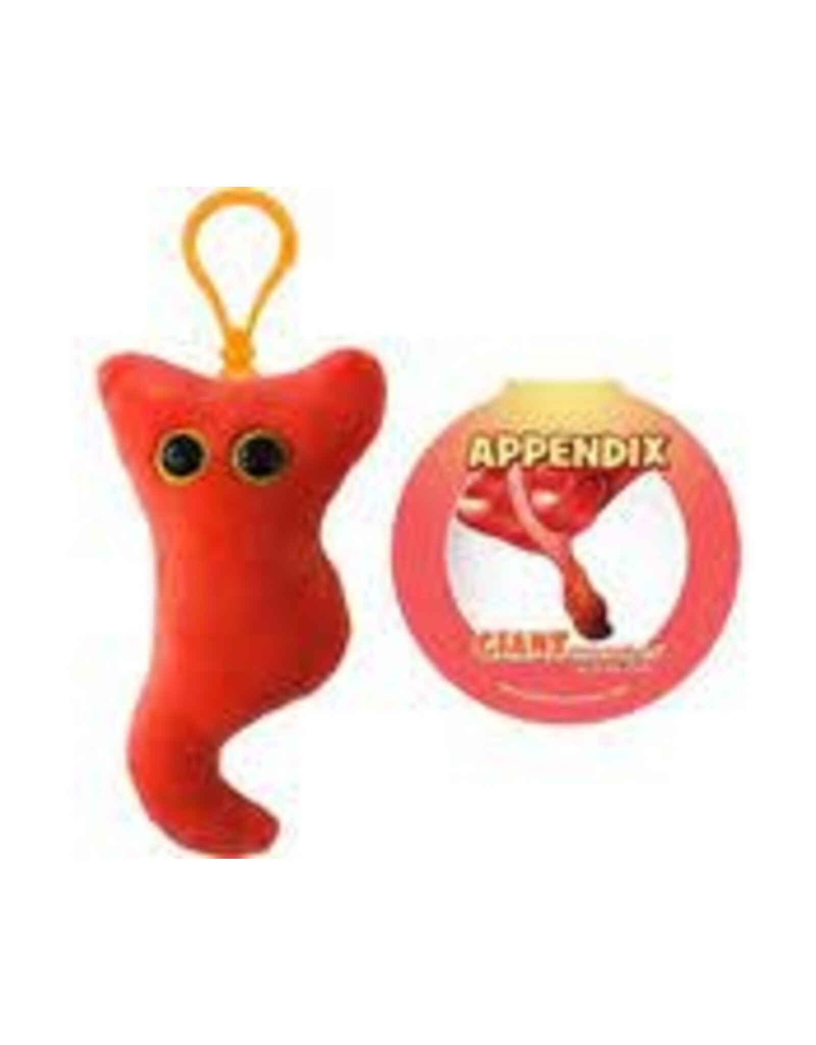 Appendix Keychain