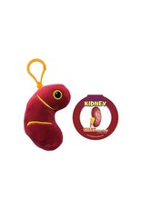 Kidney Keychain