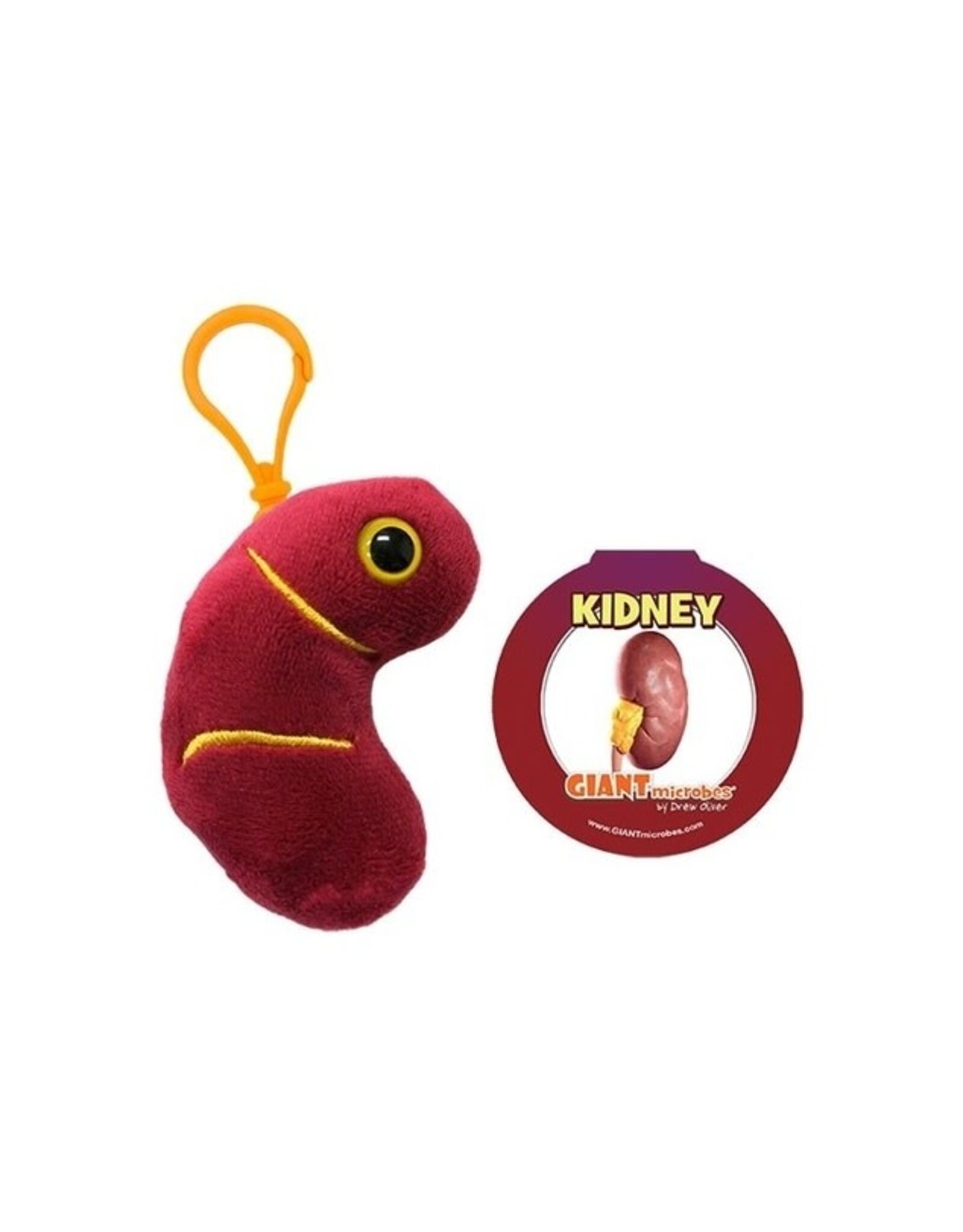 Kidney Keychain