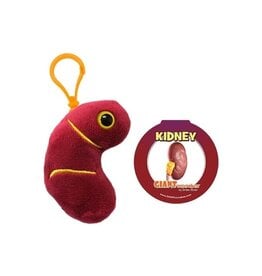 Kidney Keychain