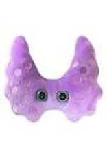 Thyroid