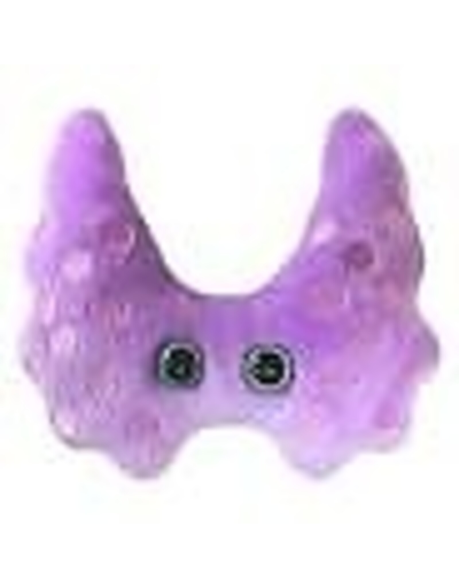 Thyroid