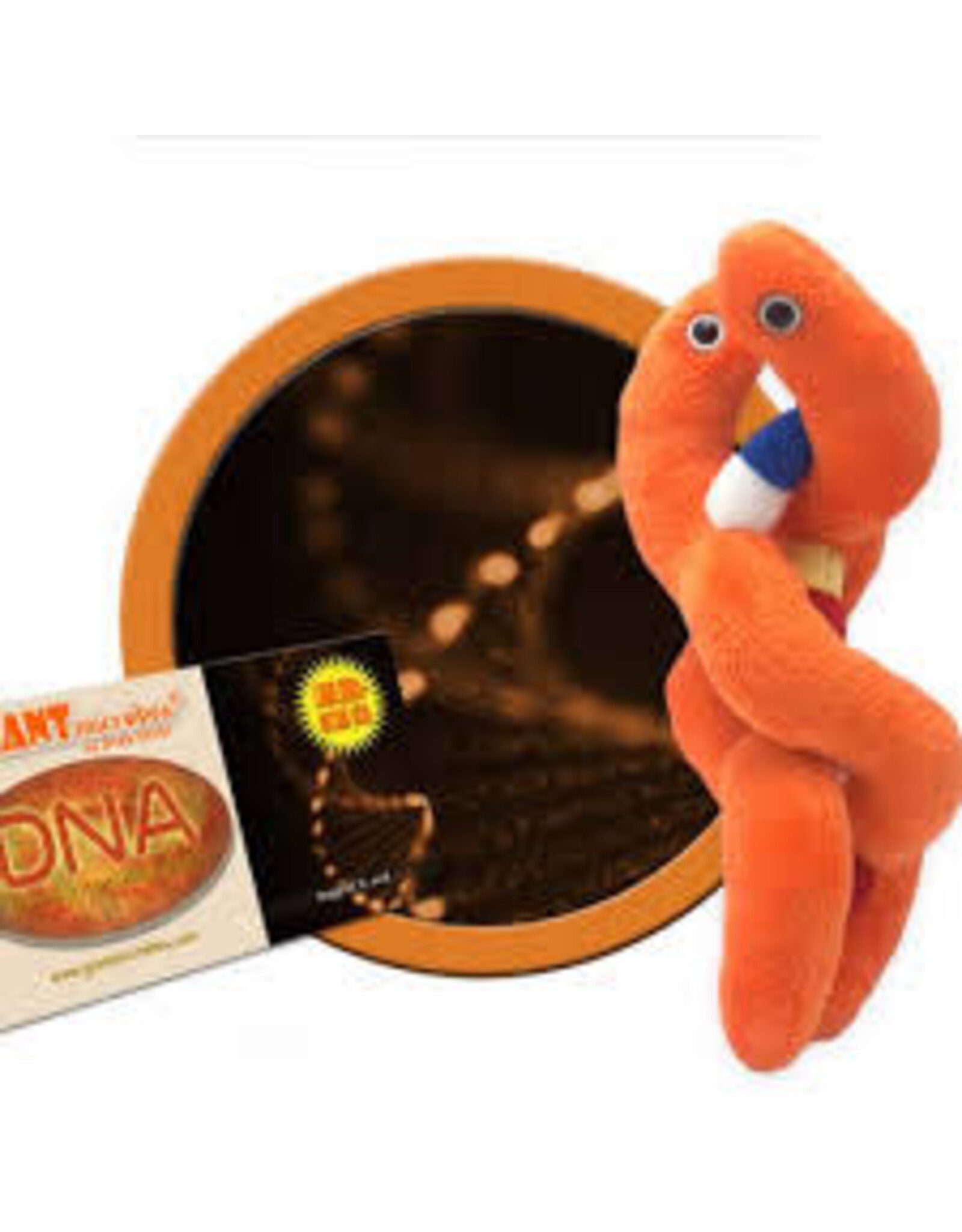 GIANTmicrobes DNA