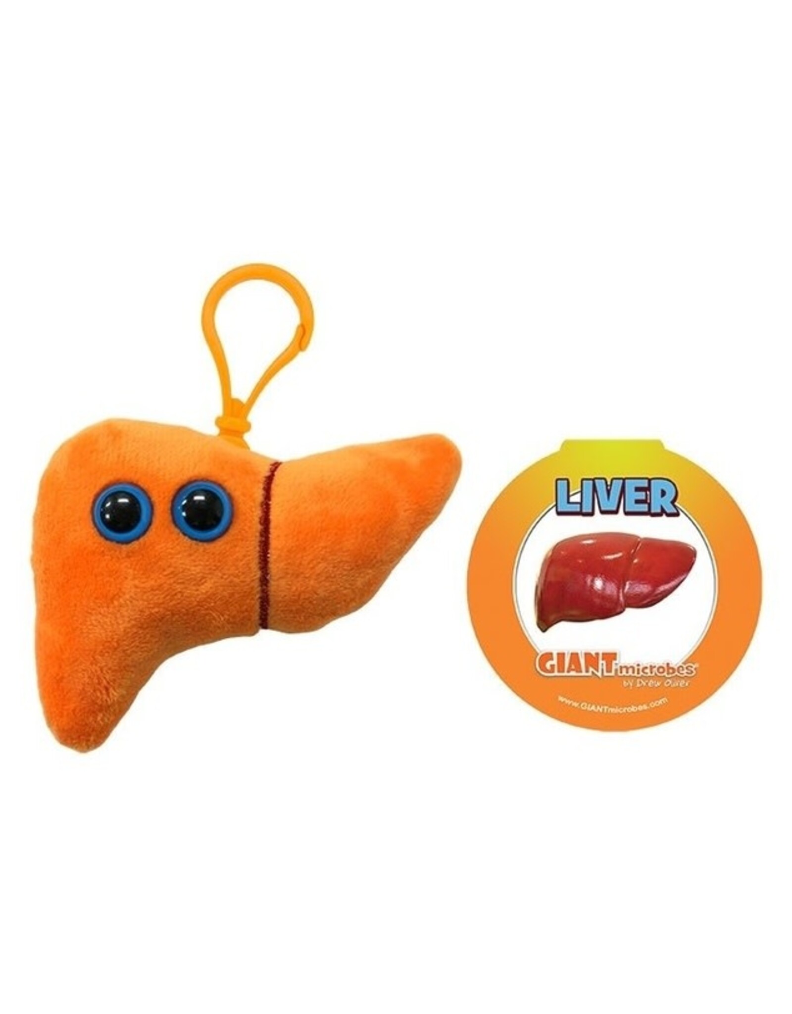 Liver Keychain