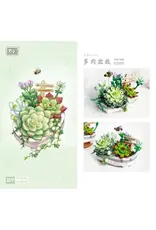 Potted Succulent Plants