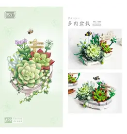 Potted Succulent Plants