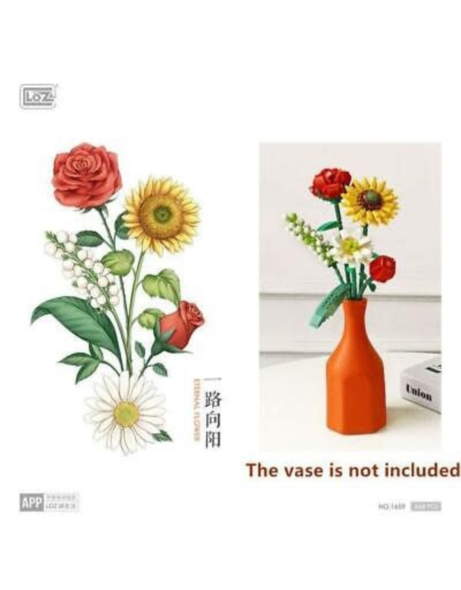 Sunflower Roes Saffron Hypericum Eternal Flower