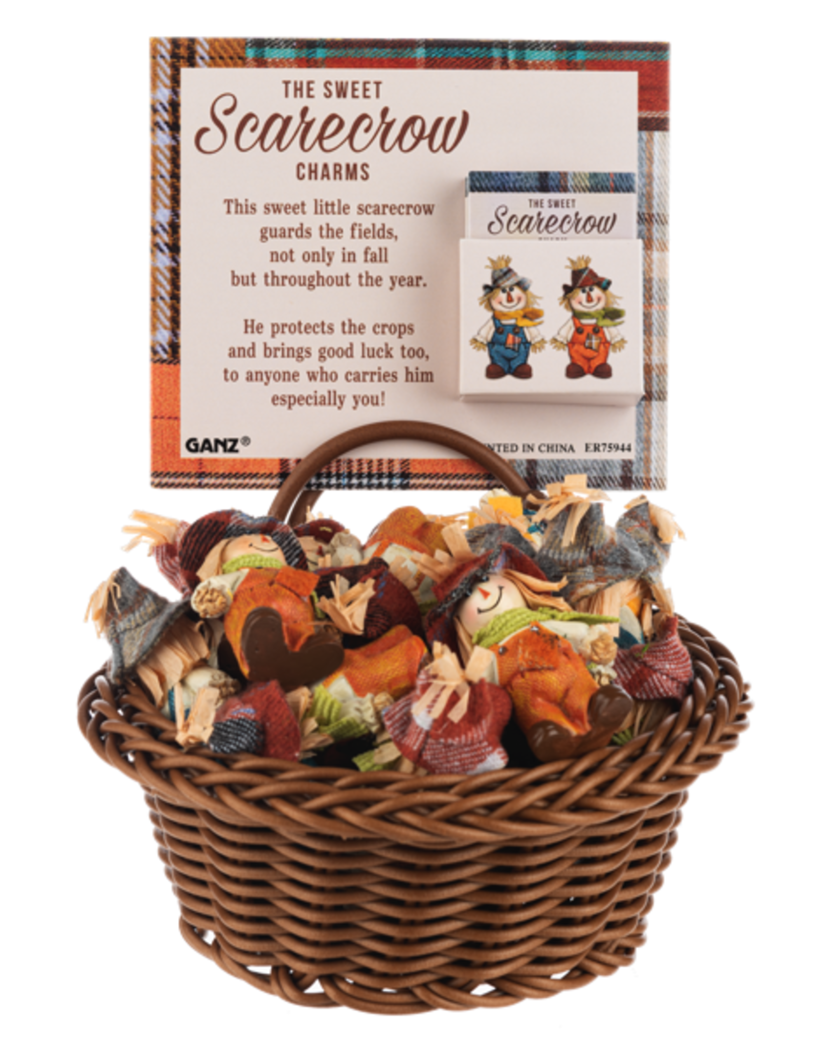 Sweet Little Scarecrow Charm