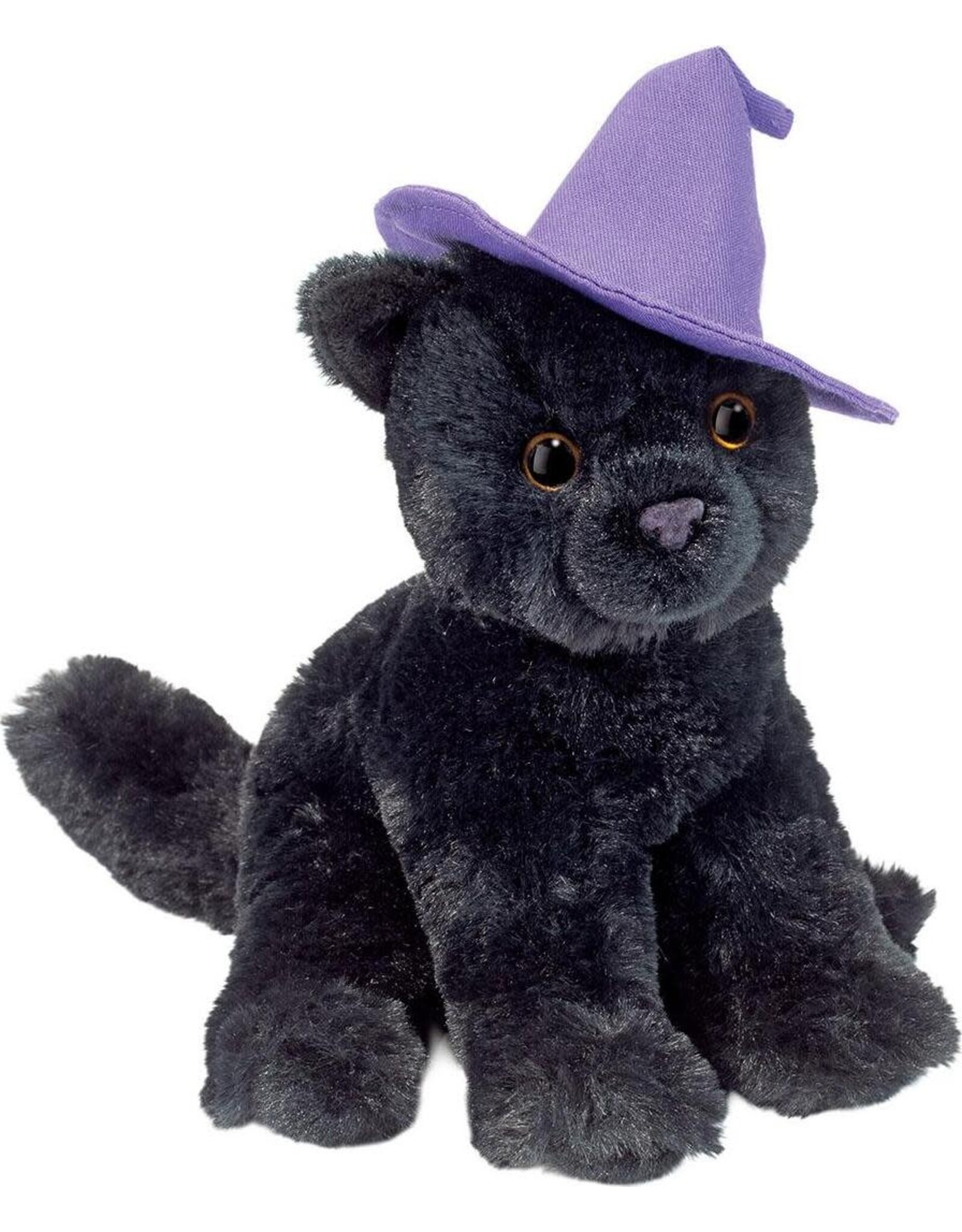 Halloween Witch Cat