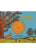 We Learn from the Sun