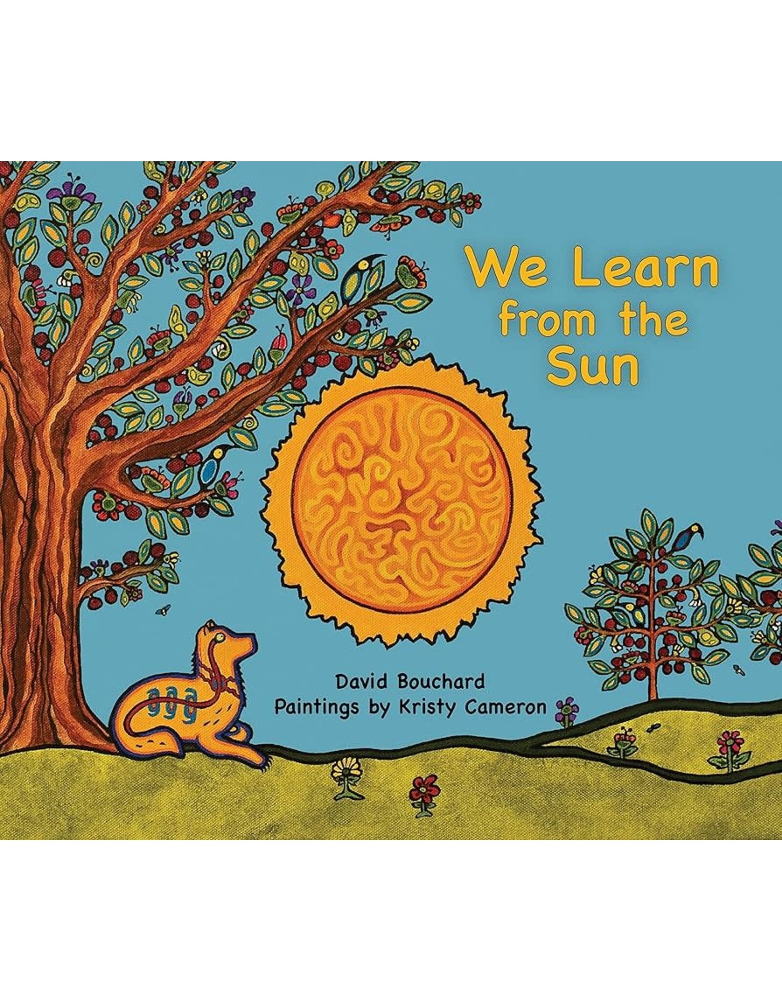 We Learn from the Sun