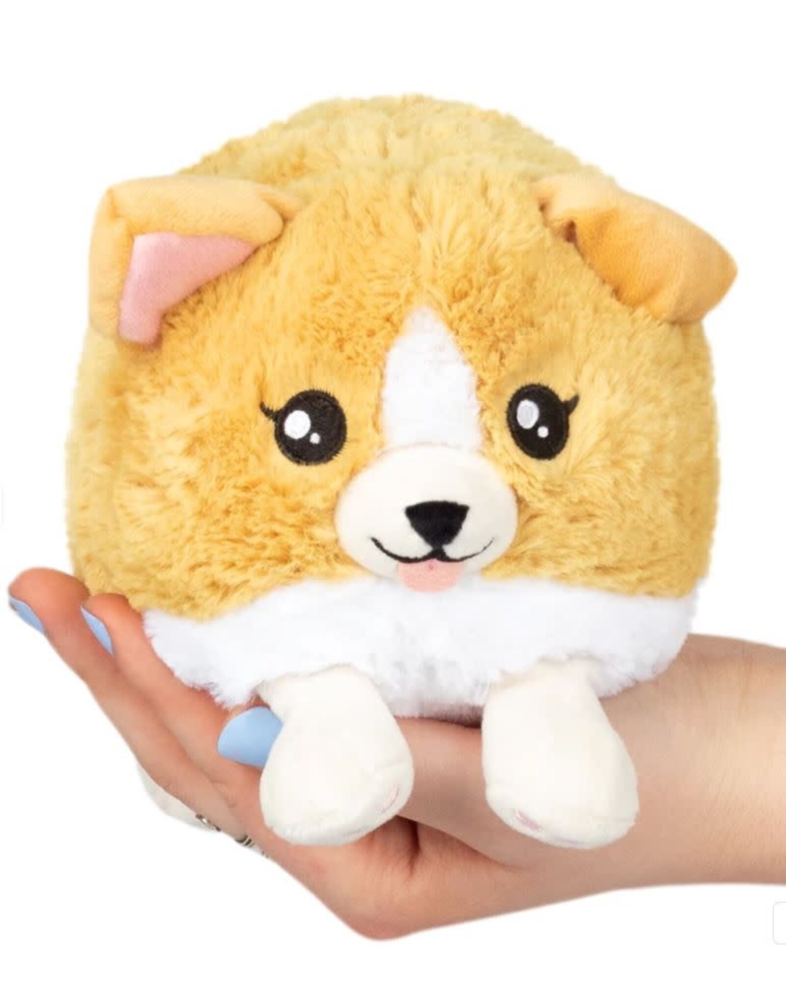 Squishable Baby Corgi - snackers