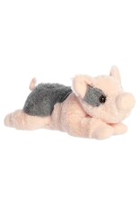 Flopsie - Tidbit mini pig