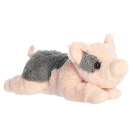 Flopsie - Tidbit mini pig