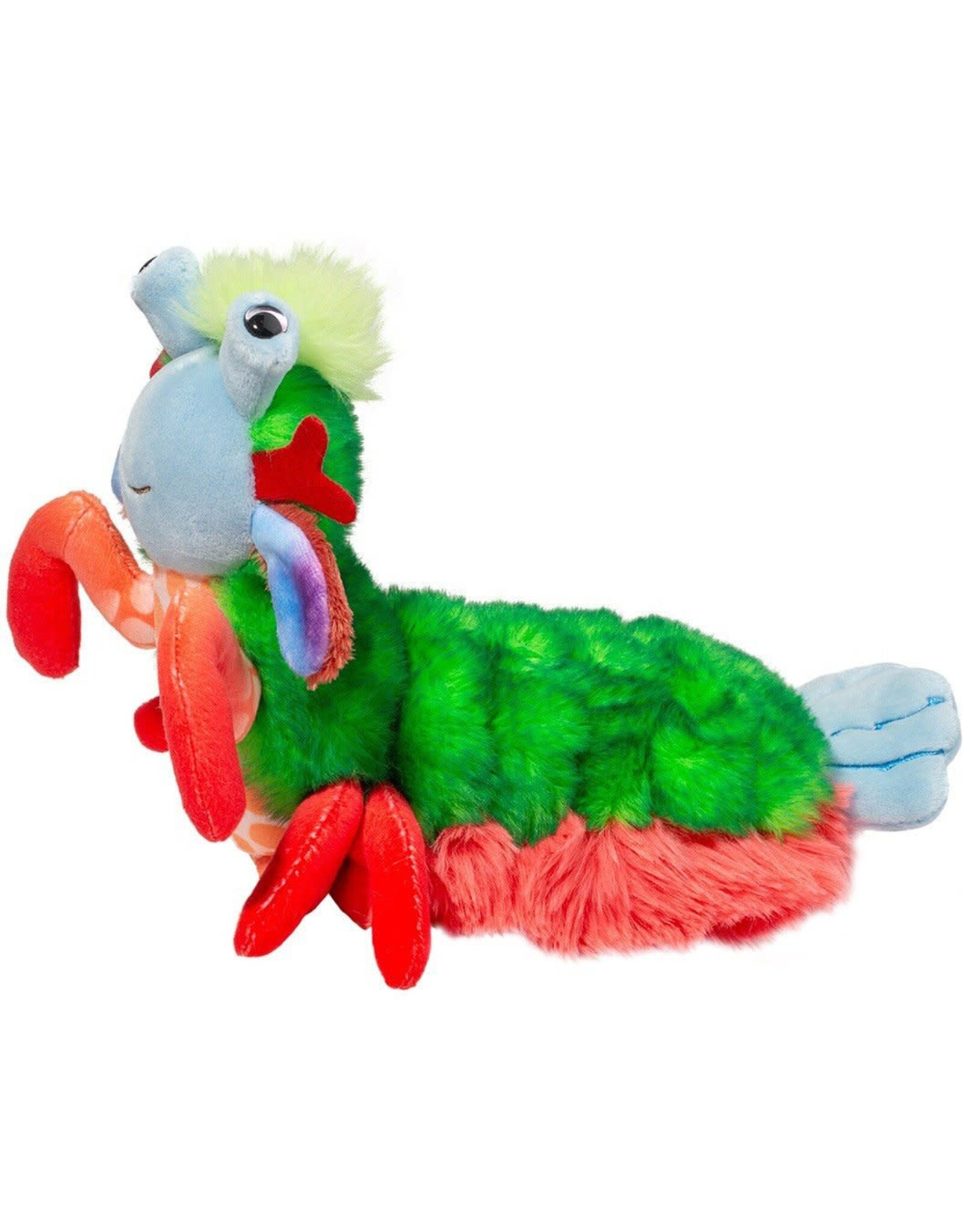 Punchie Mantis Shrimp