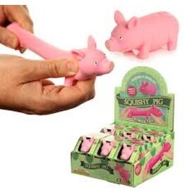 Squeezy Stretchy Pig