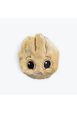TY Groot