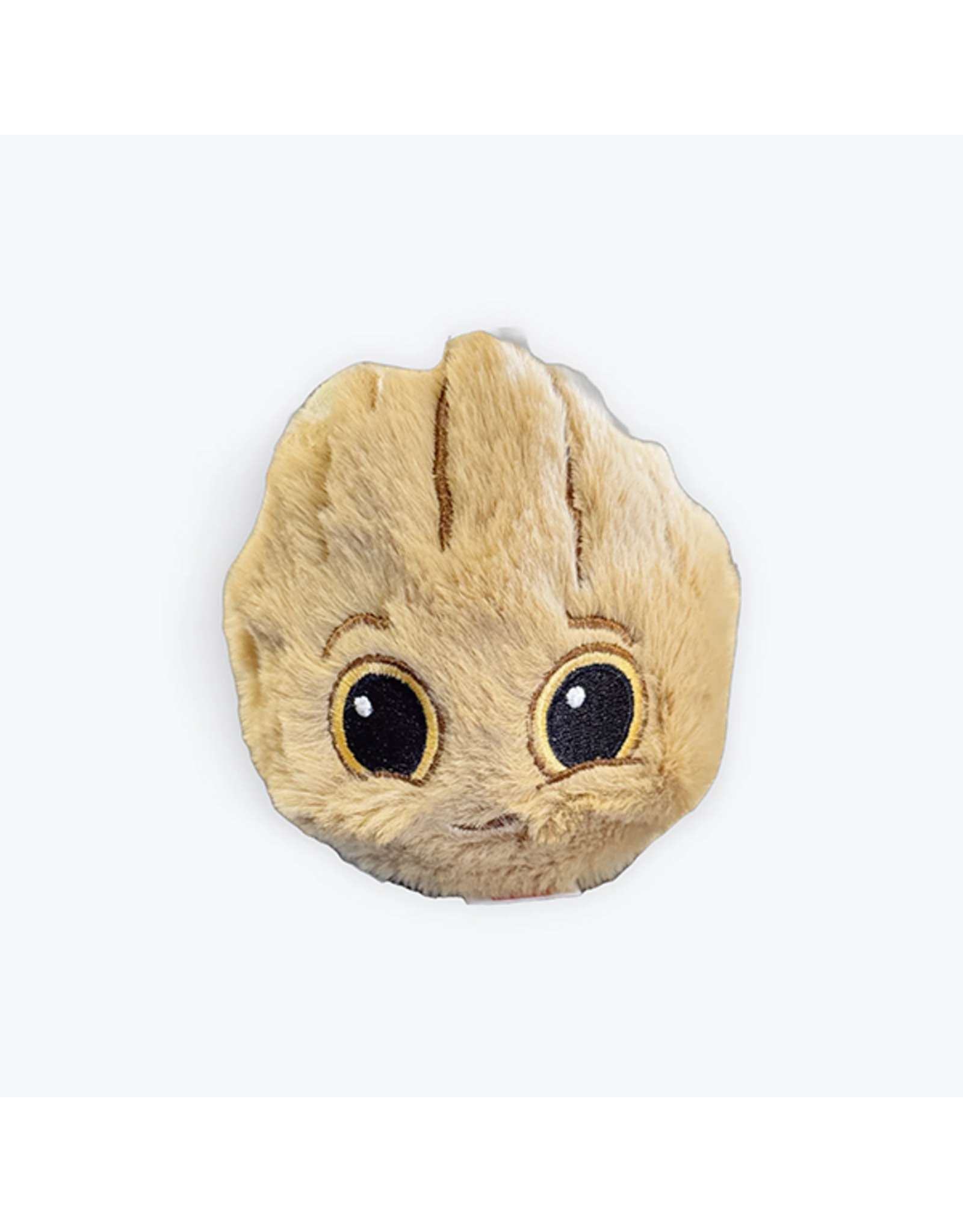 TY Groot