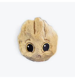 TY Groot