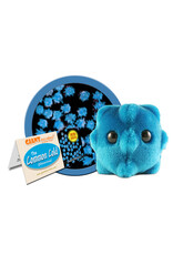 Common Cold