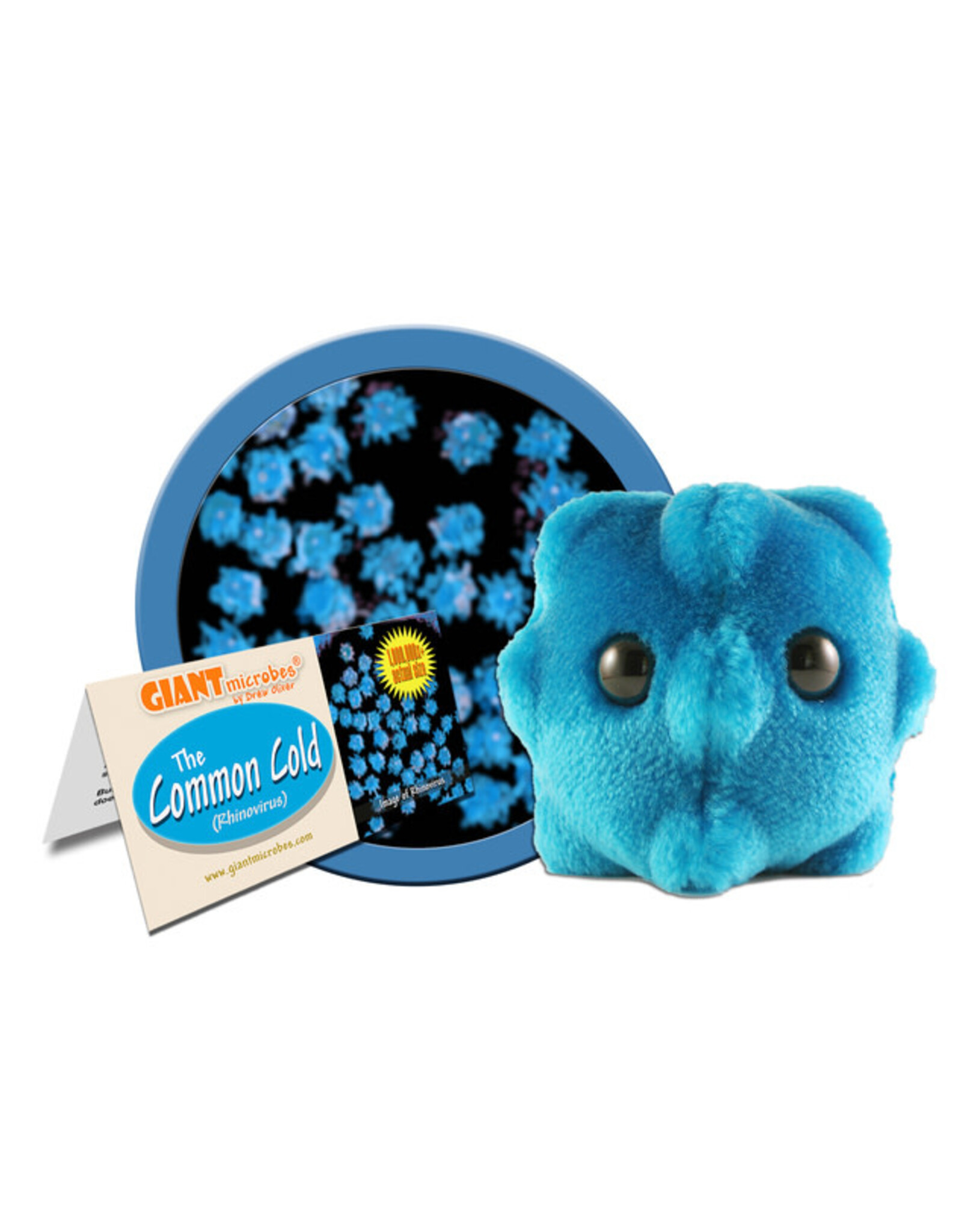 Common Cold