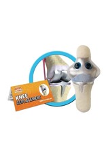 Knee Replacement