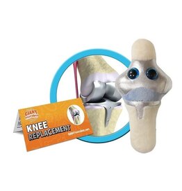 Knee Replacement