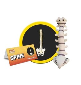 Spine
