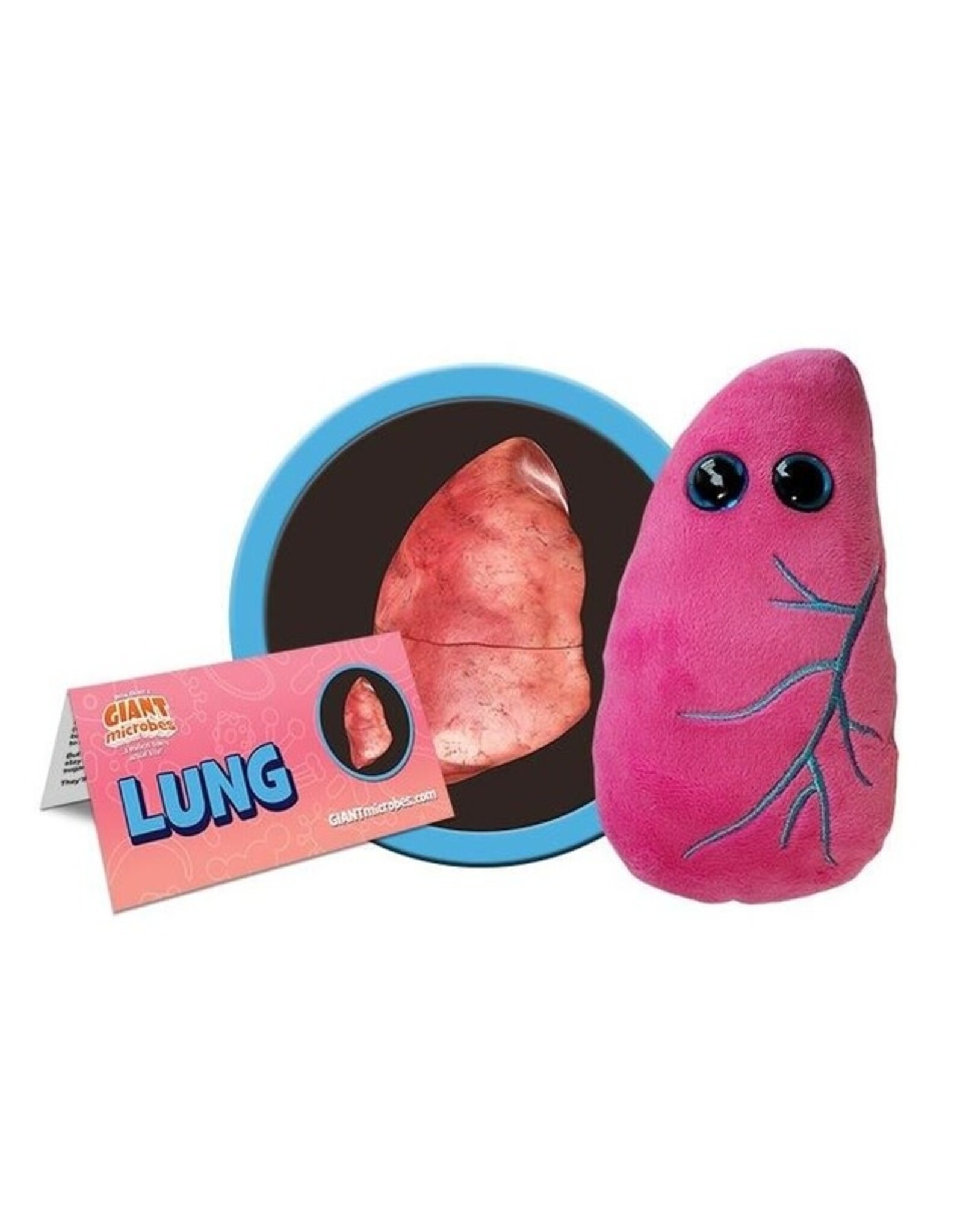 GIANTmicrobes Lung