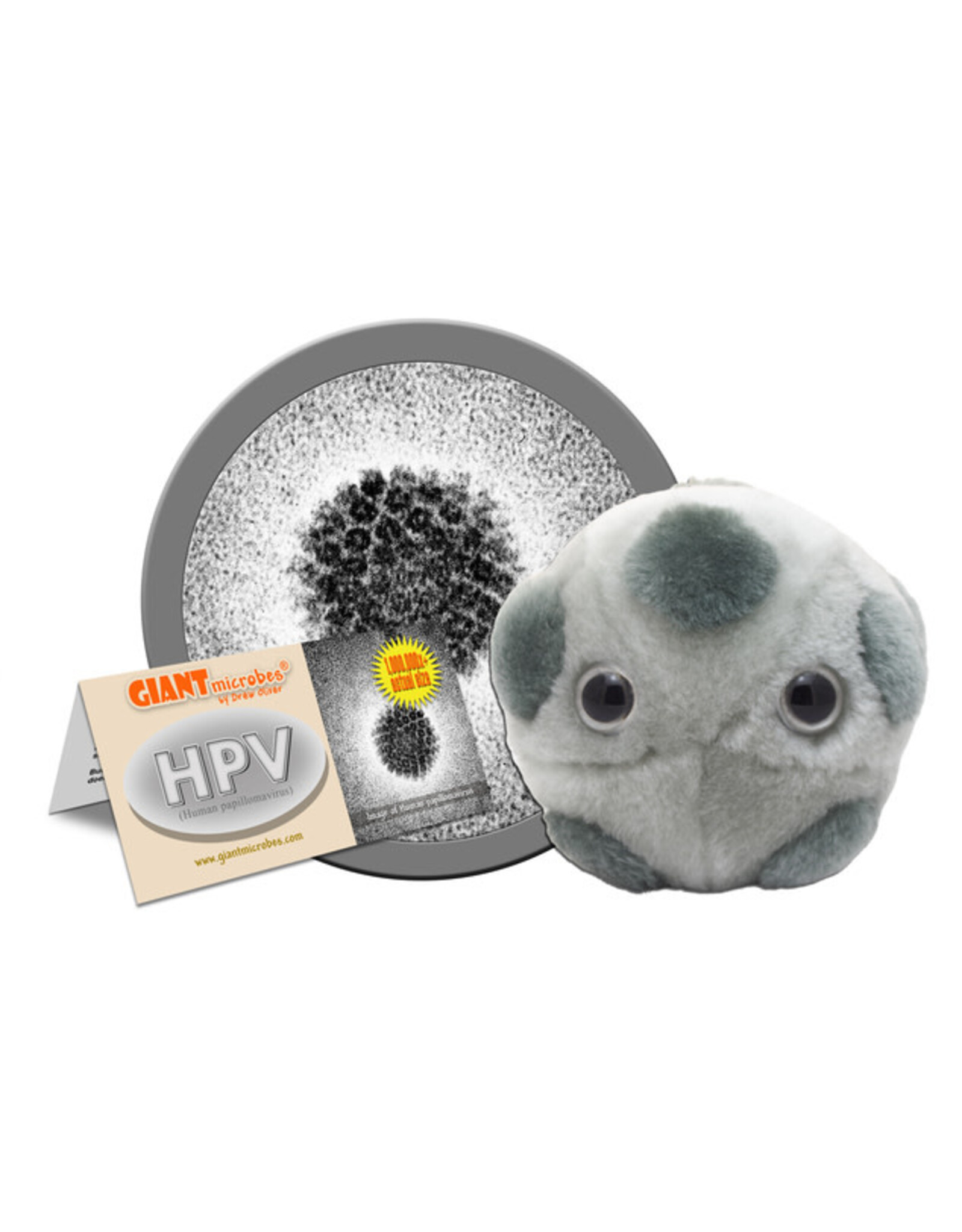 HPV