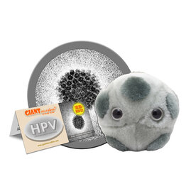 HPV