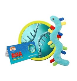 RNA