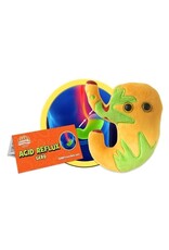 Acid Reflux