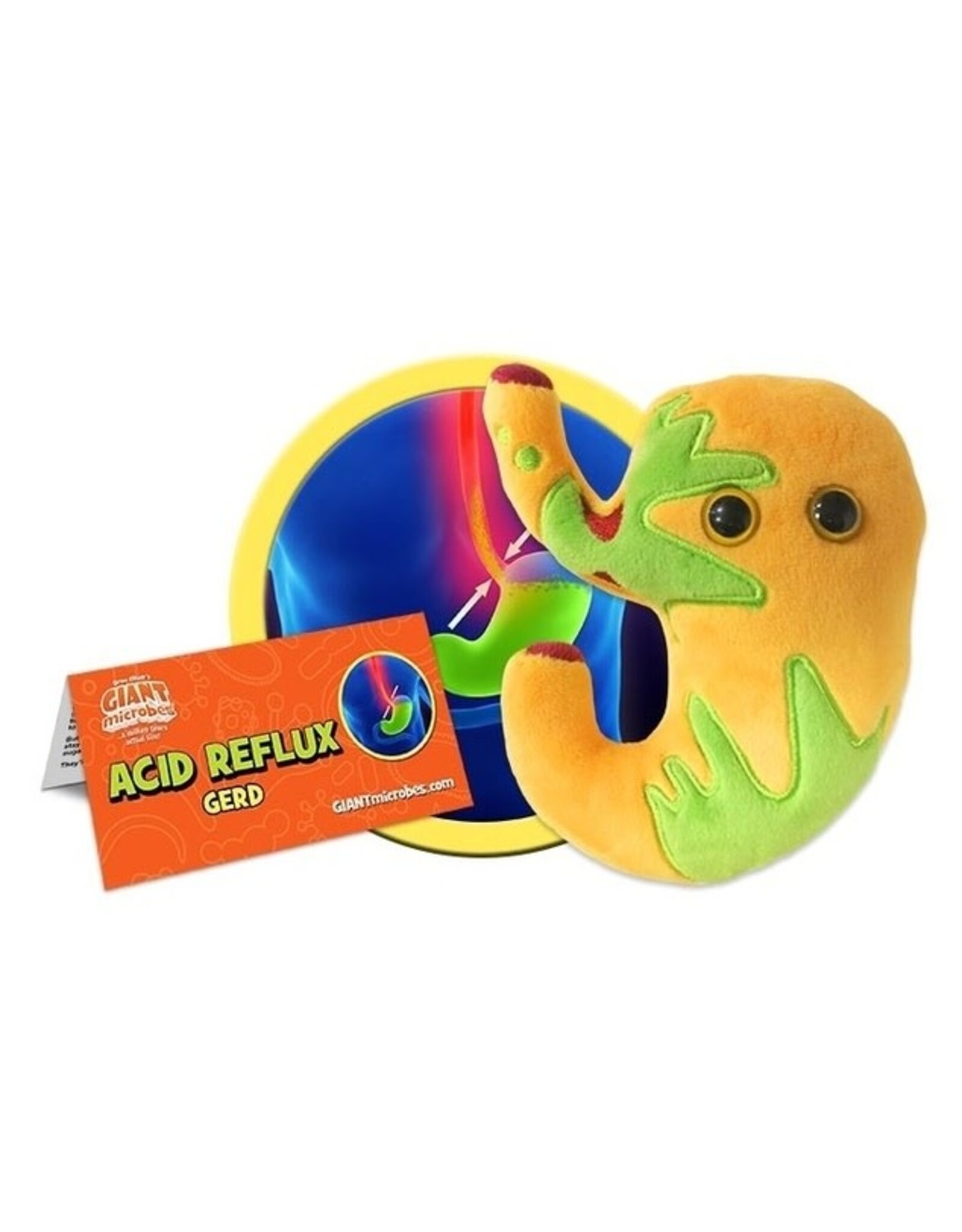 Acid Reflux