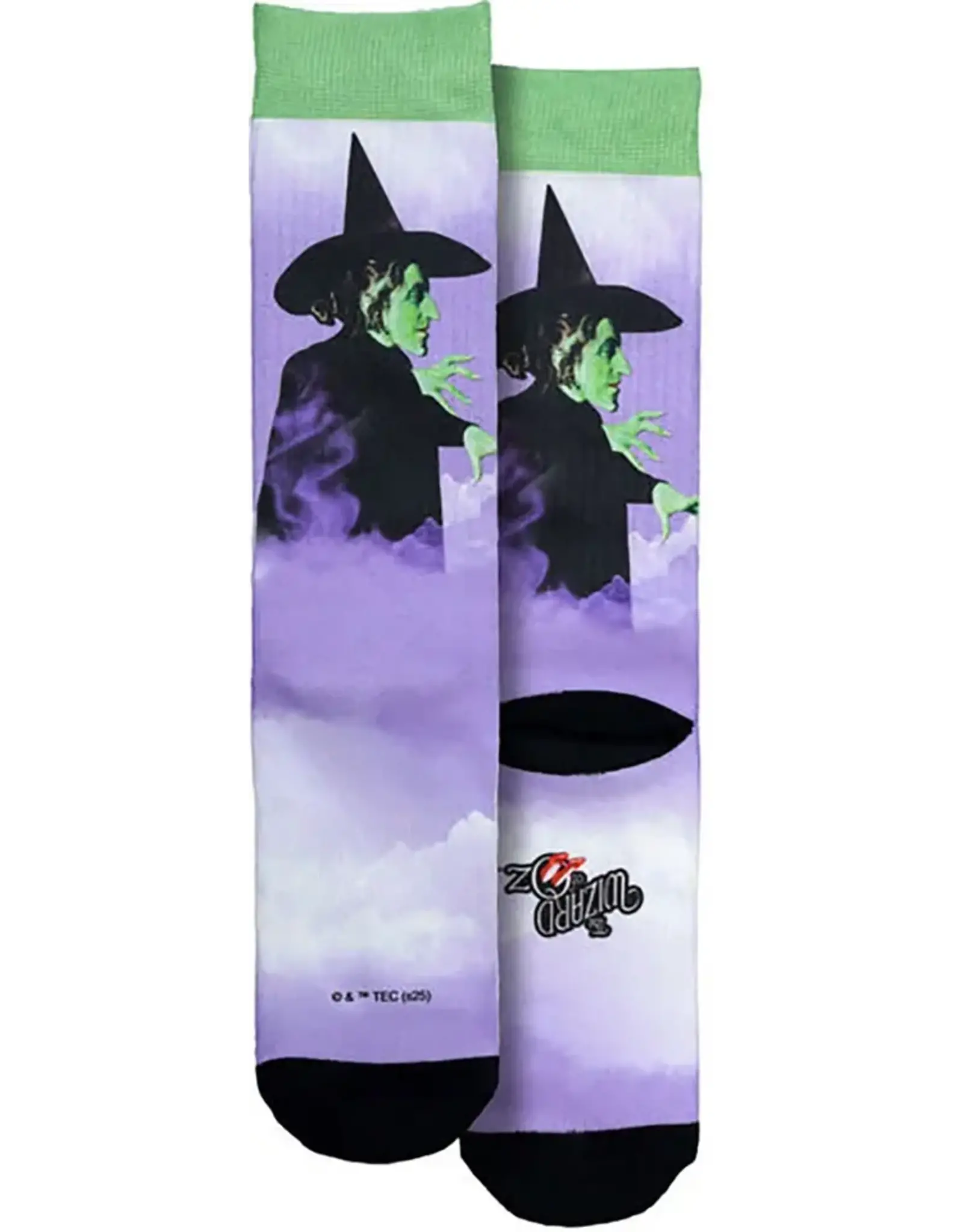 Wicked Witch Socks