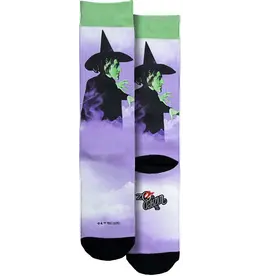 Wicked Witch Socks