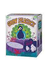 Growing Peacock