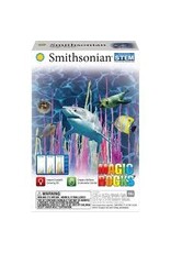 Smithsonian Magic Rocks Value Set