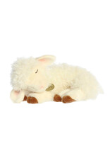 Sleepy - lamb