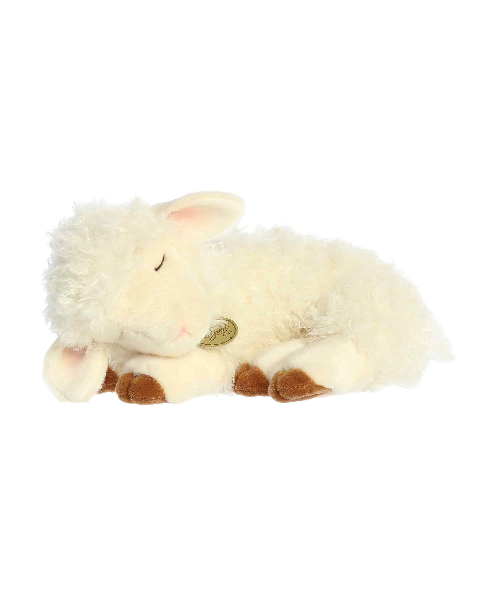 Sleepy - lamb