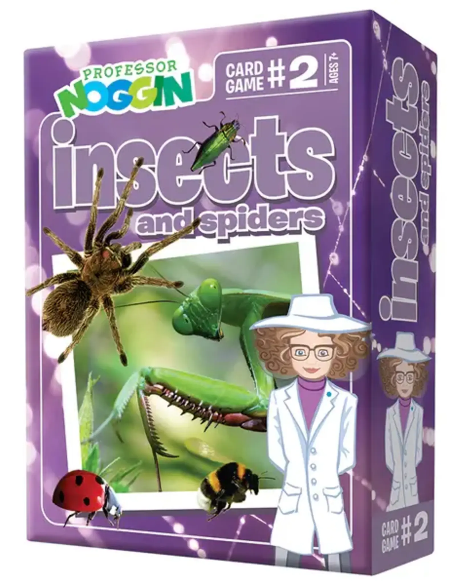 Professor Noggin - insects and spiders