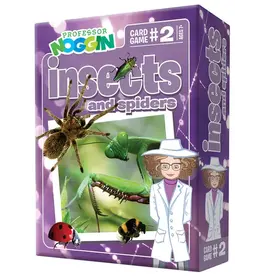 Professor Noggin - insects and spiders