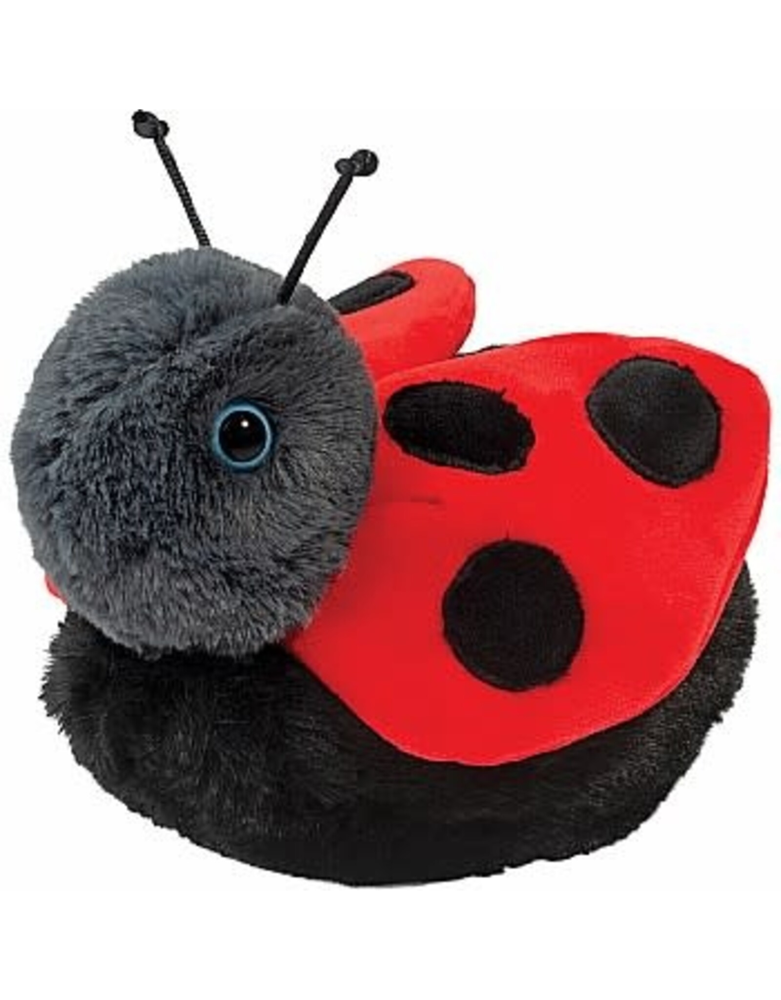 Bert Ladybug
