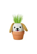 Dog Grow Pal
