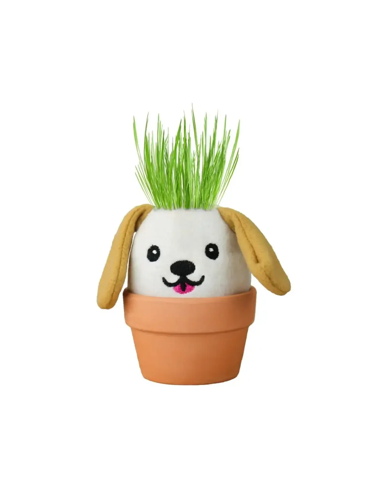 Dog Grow Pal