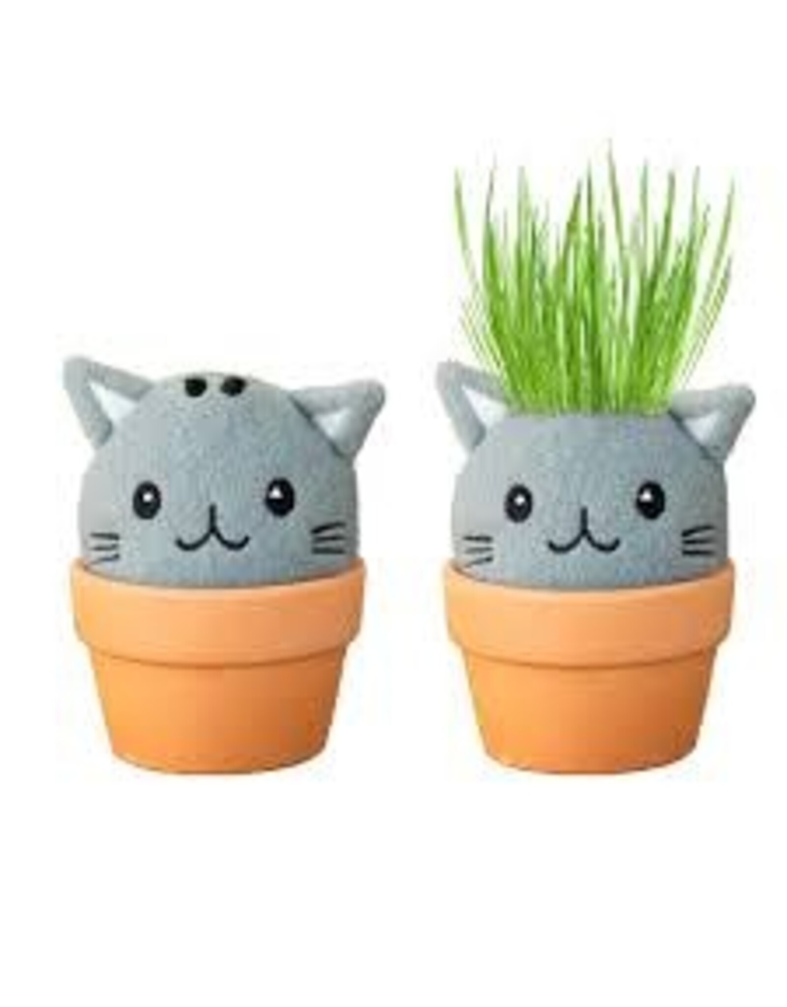 Cat Grow Pal