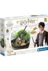 Terrarium - Harry Potter