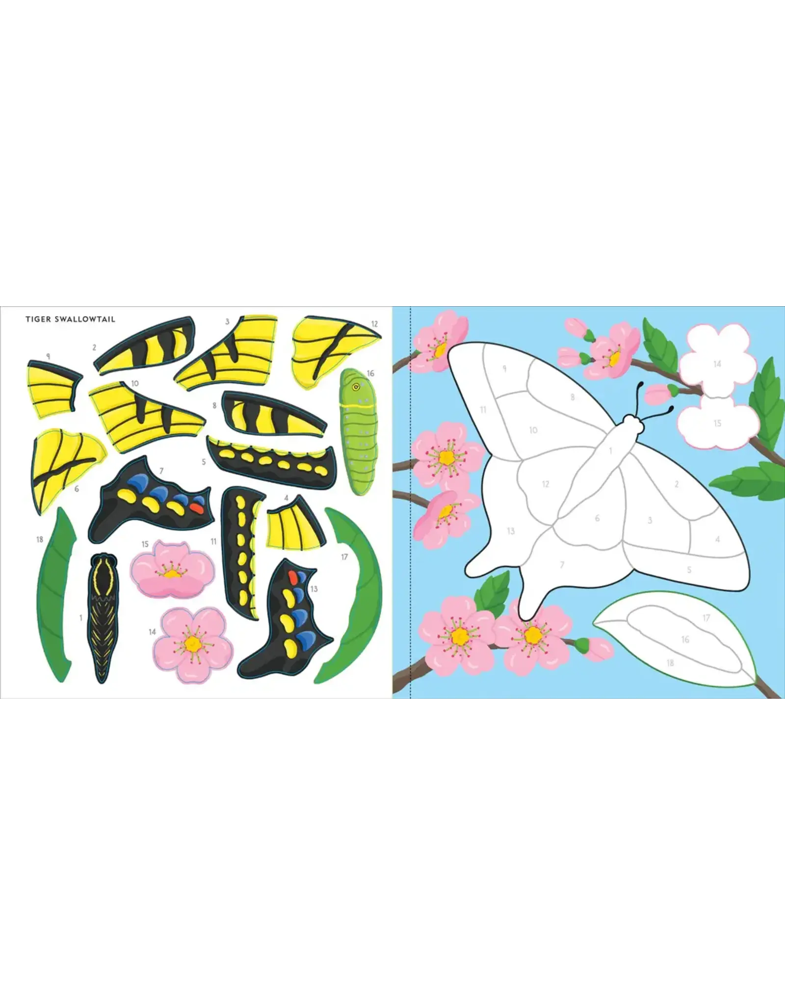 Color-by-Sticker - Butterflies & Bugs
