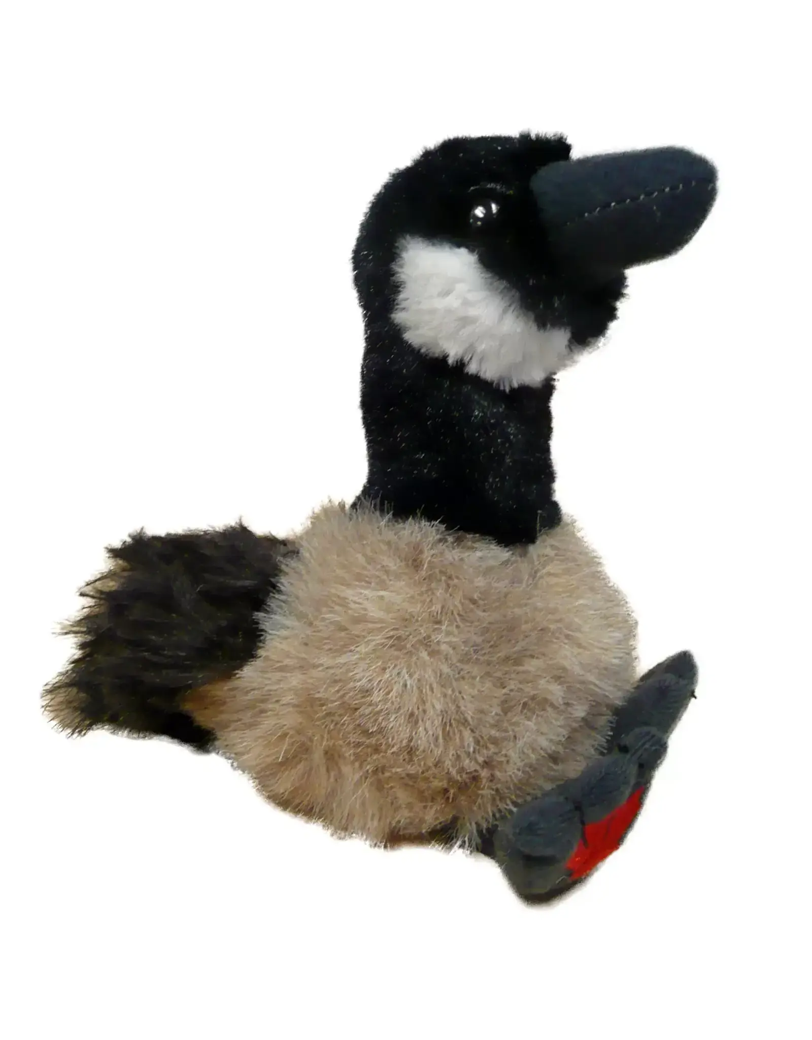 Maplefoot Canada Goose