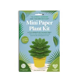 Create Your Own - Plant Kit Succulent